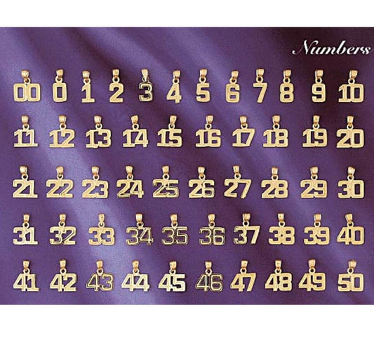 Small 0 to 50 Any One 14K Yellow Gold Number Pendant