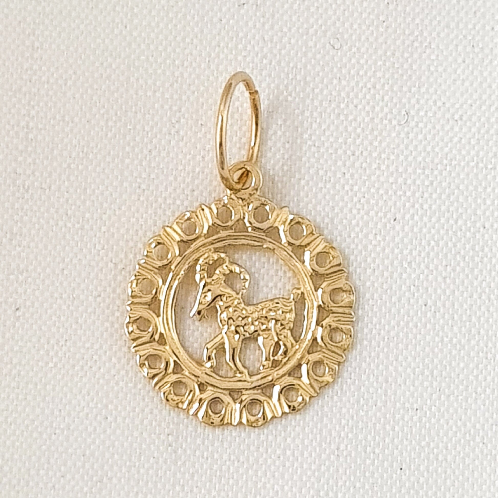 Any One 14k Yellow Gold ZODIAC Pendant