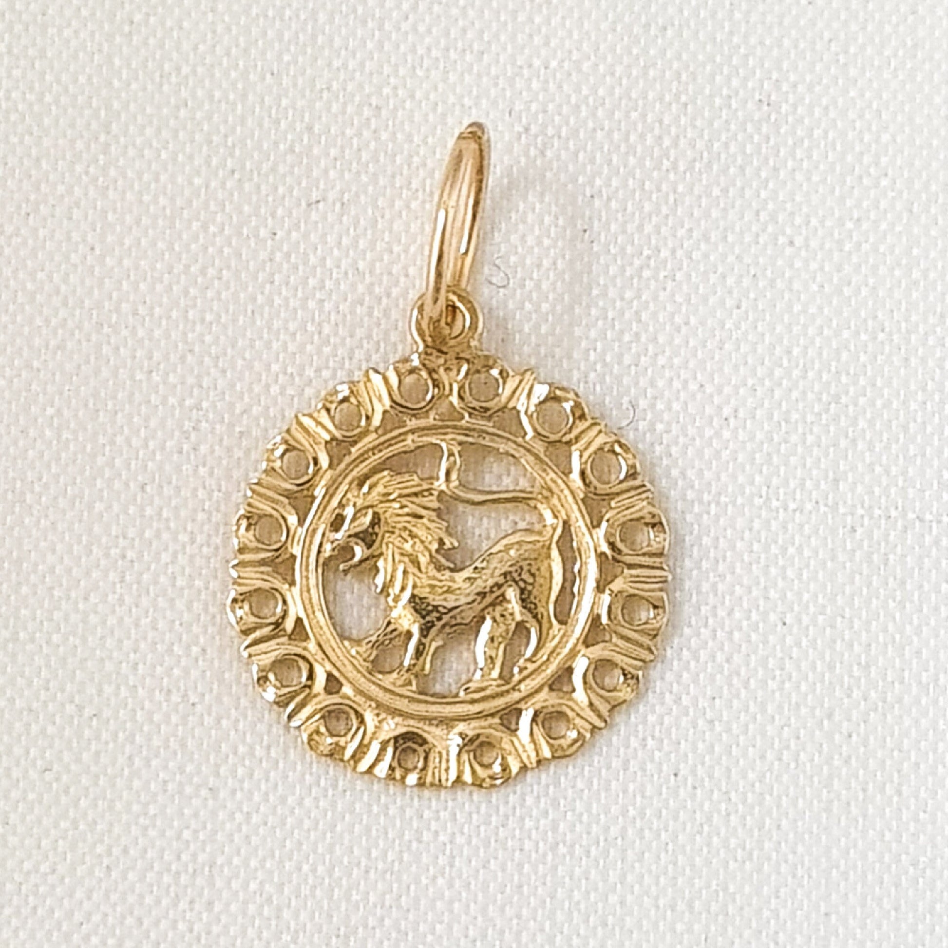 Any One 14k Yellow Gold ZODIAC Pendant