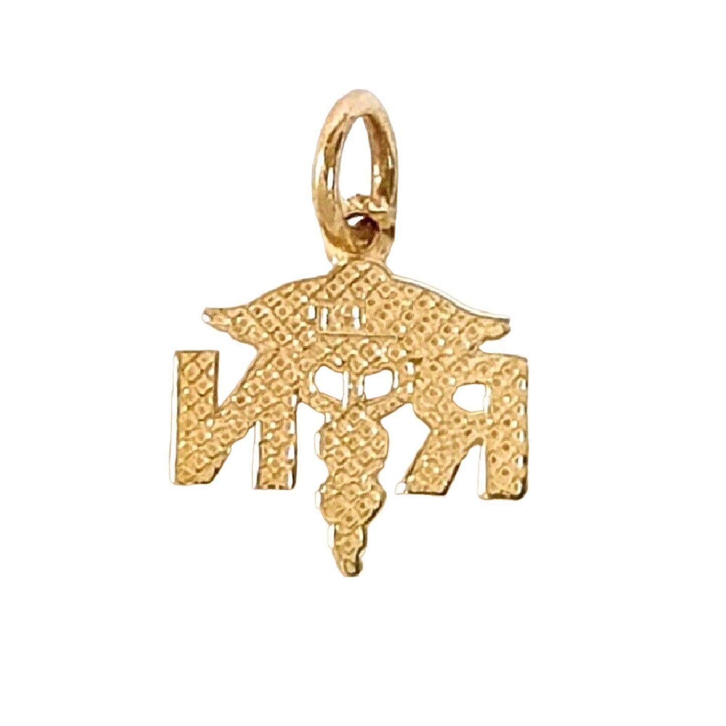 14K Yellow Gold RN (Registered Nurse) Small Charm Pendant