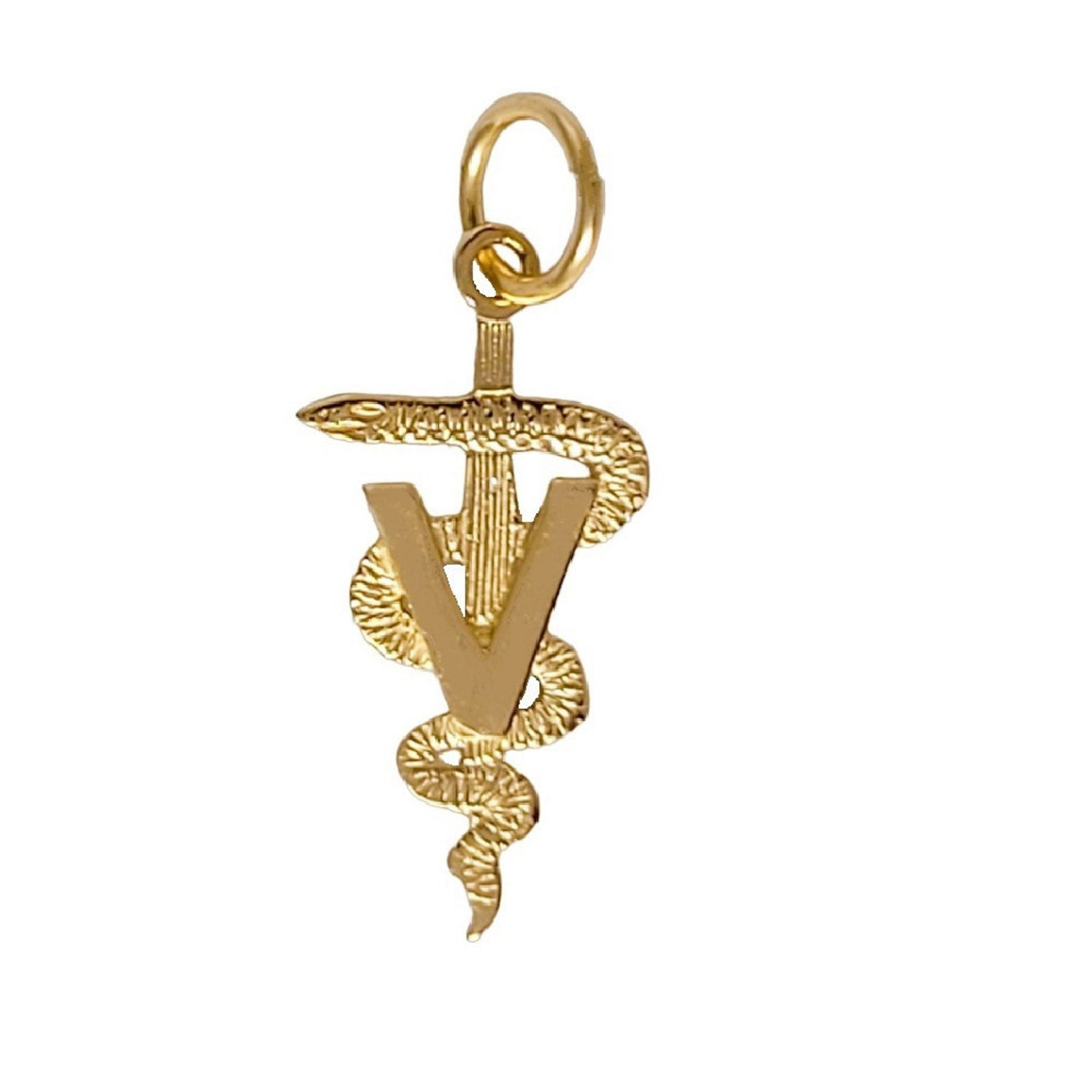 14k Yellow Gold Veterinary Caduceus Medical Symbol Charm Pendant