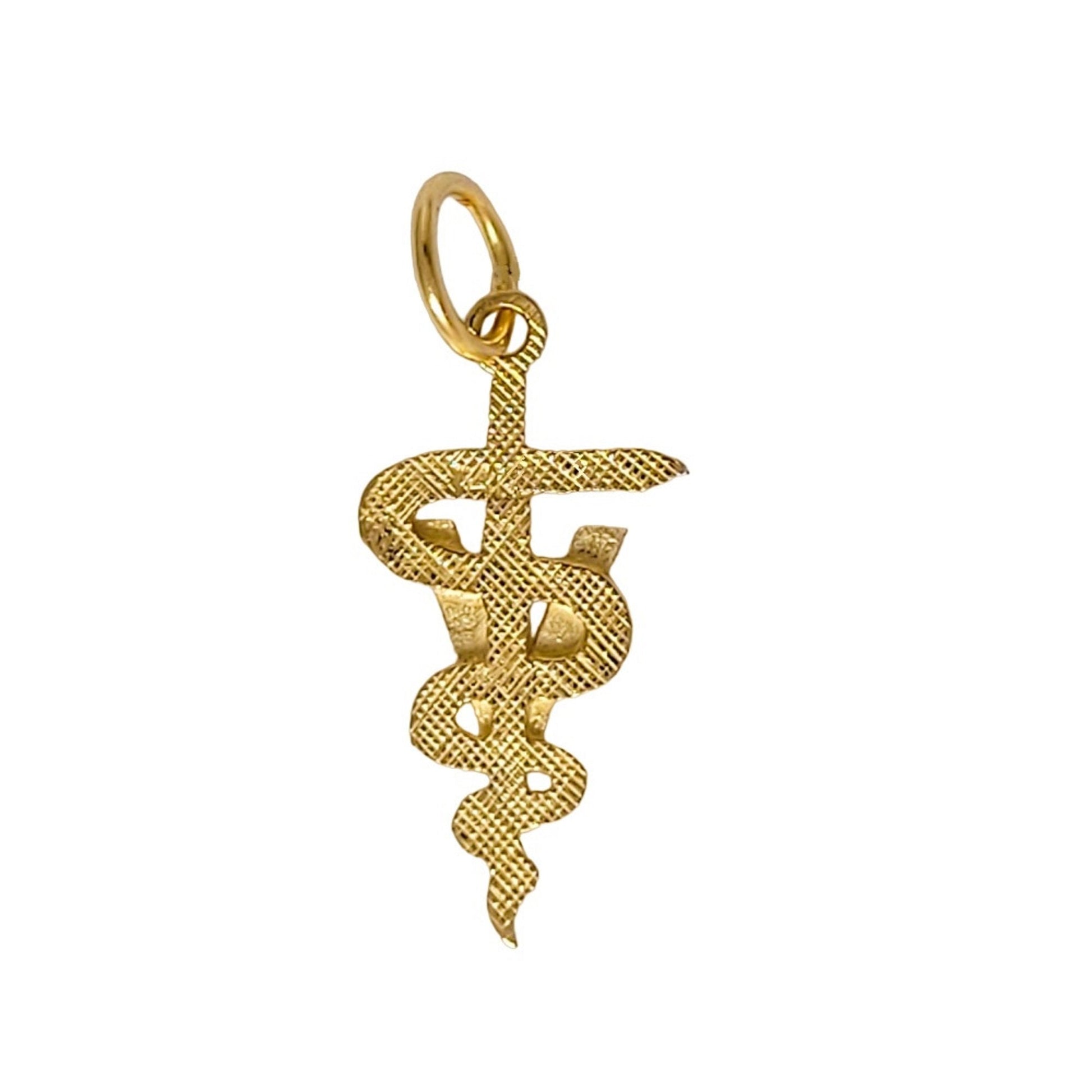 14k Yellow Gold Veterinary Caduceus Medical Symbol Charm Pendant