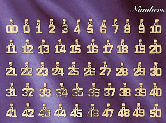 Small 0 to 50 Any One 14K Yellow Gold Number Pendant